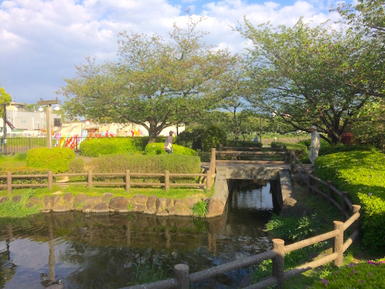 大正川河川敷l公園　池