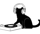 黒猫　DJ