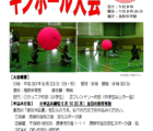 キンボール大会